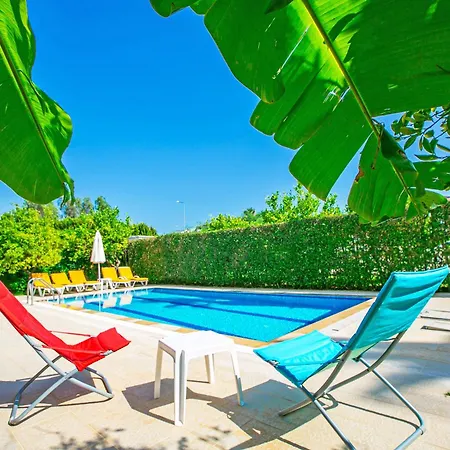 Vila Paradise Town Orchard